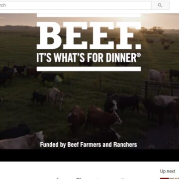 beef commercial - clover meadows beef grass fed beef STL