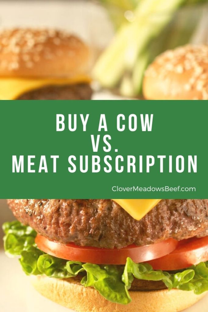 Buy a Cow vs. Meat Subscription Meat Delivery Service - Clover Meadows Beef Grass Fed Beef