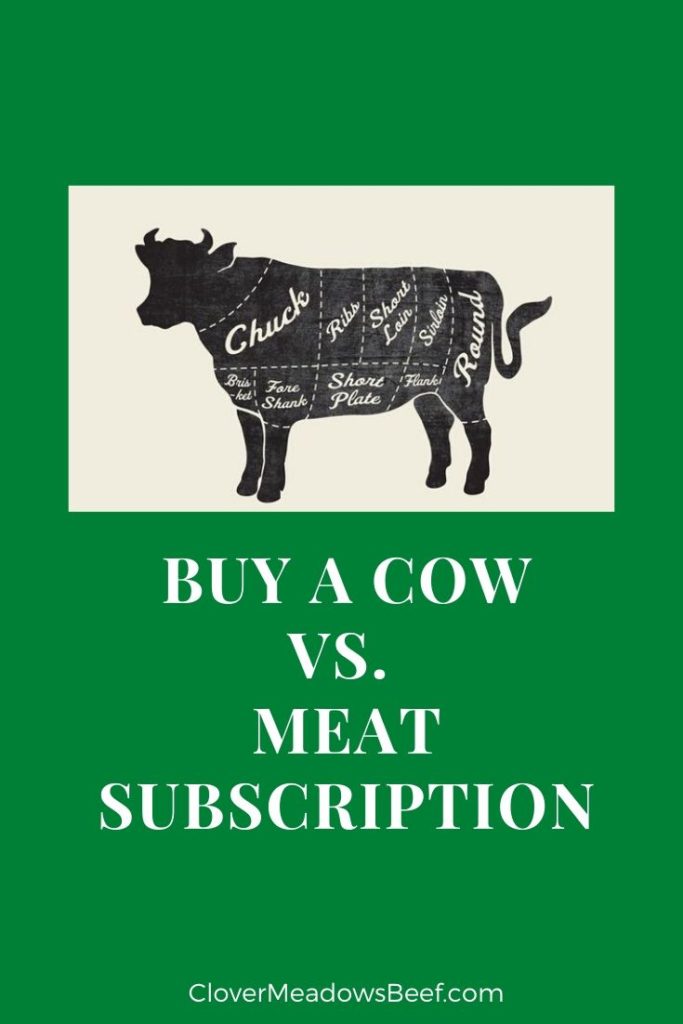 Buying a Cow vs Meat Subscription delivery service - Clover Meadows Beef Grass Fed Beef 