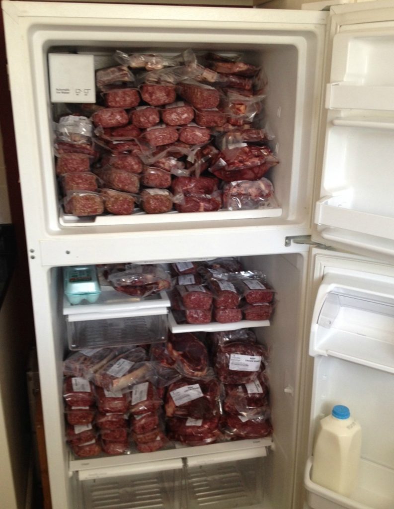 half-cow-refrigerator