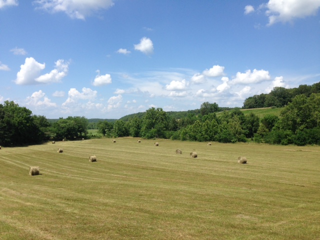 Hay Bales in Field - Clover Meadows Beef Grass Fed Beef - St Louis Missouri