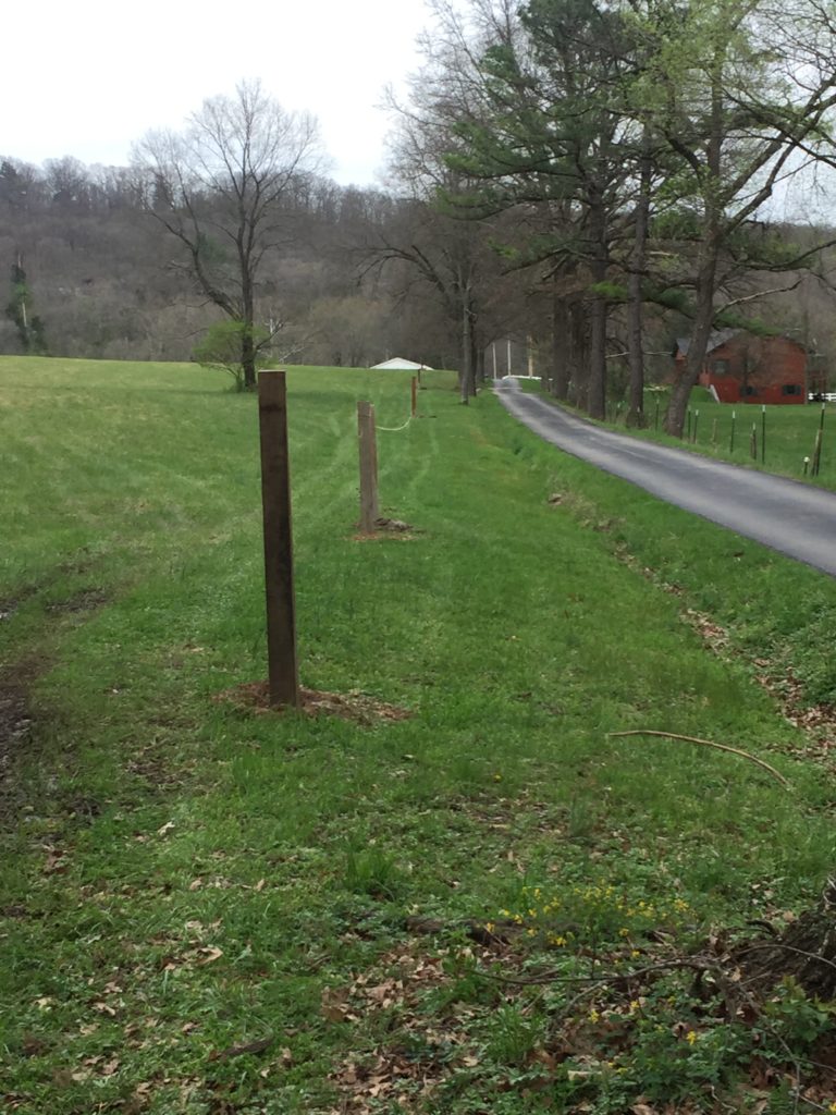 building a fence | Clover Meadows Beef Grass Fed Beef St. Louis Missouri | Free Delivery