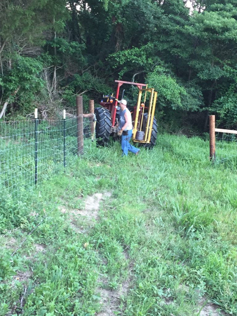 Massey Ferguson Tractor | building a fence | Clover Meadows Beef Grass Fed Beef St. Louis Missouri | Free Delivery