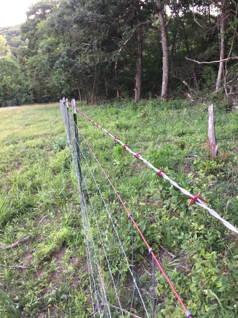 building a fence | Clover Meadows Beef Grass Fed Beef St. Louis Missouri | Free Delivery