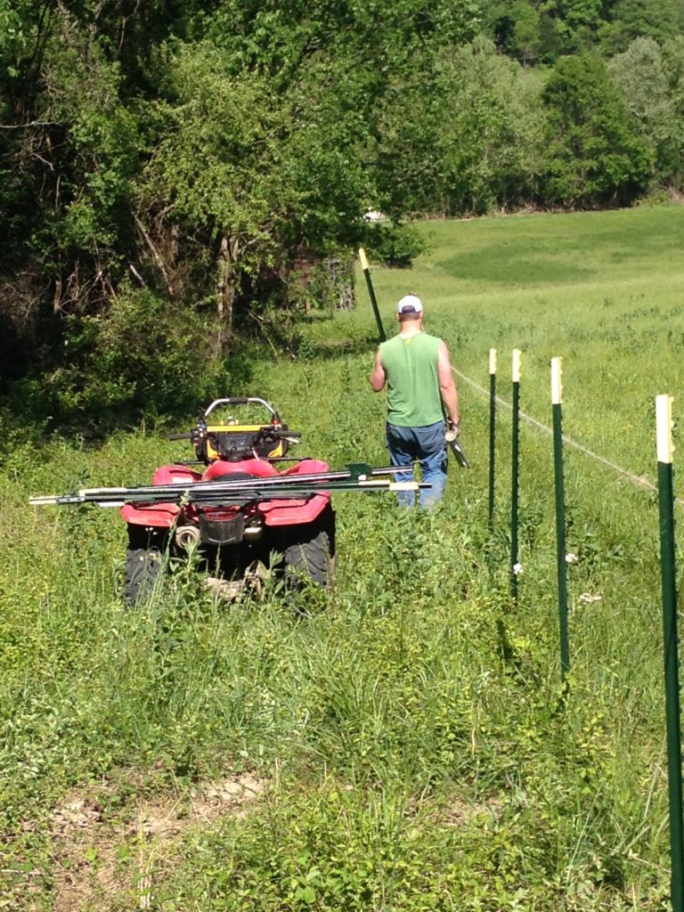 Honda ATV | building a fence | Clover Meadows Beef Grass Fed Beef St. Louis Missouri | Free Delivery