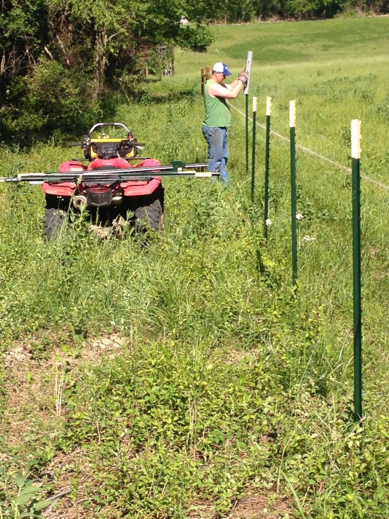 Honda ATV | building a fence post digger | Clover Meadows Beef Grass Fed Beef St. Louis Missouri | Free Delivery