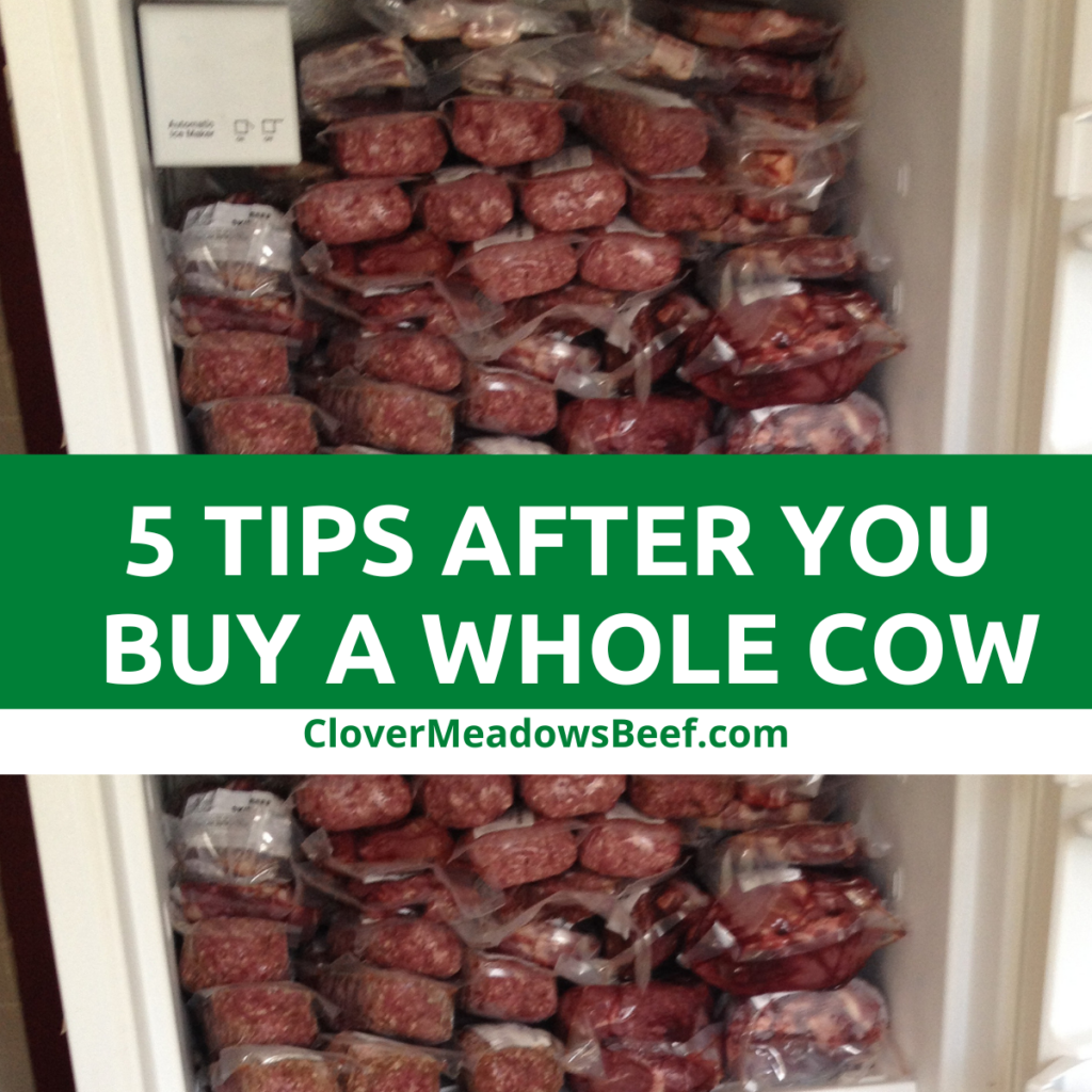 tips-buy-a-whole-cow