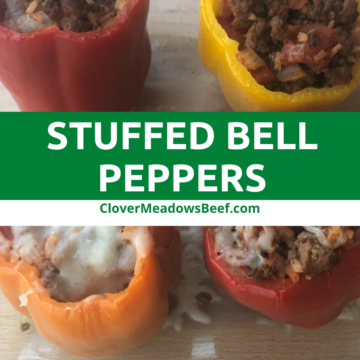 stuffed-bell-pepper-recipe-clover-meadows-beef